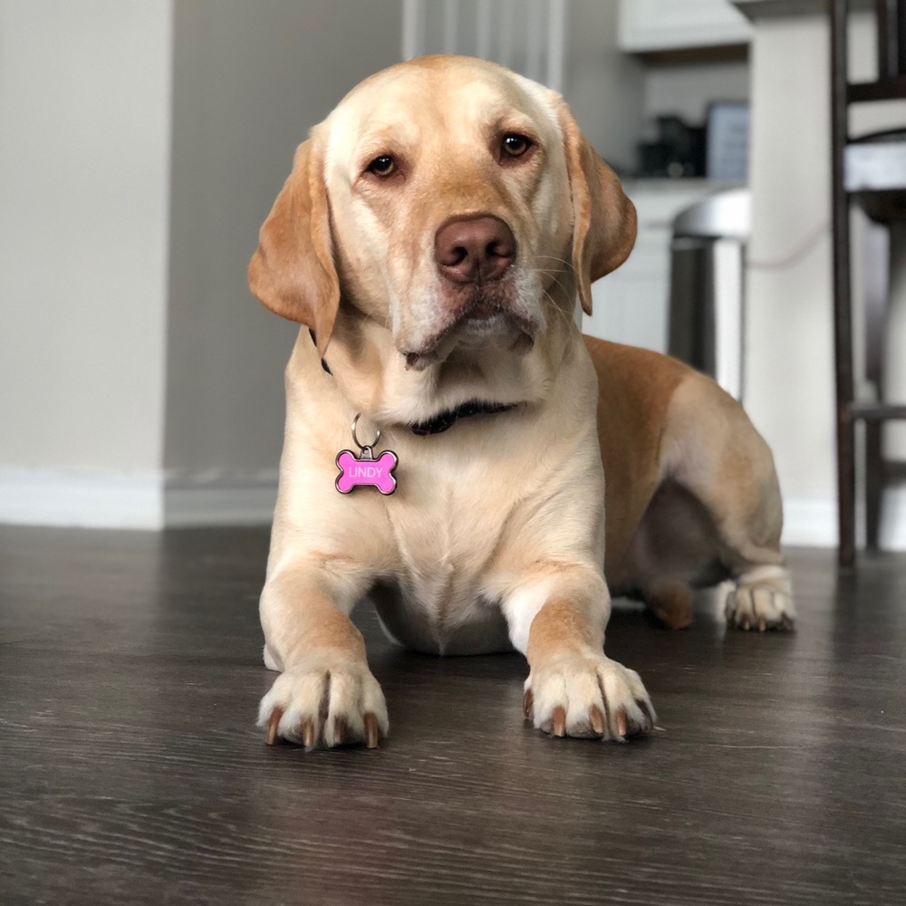 Meet your Posher, Avery